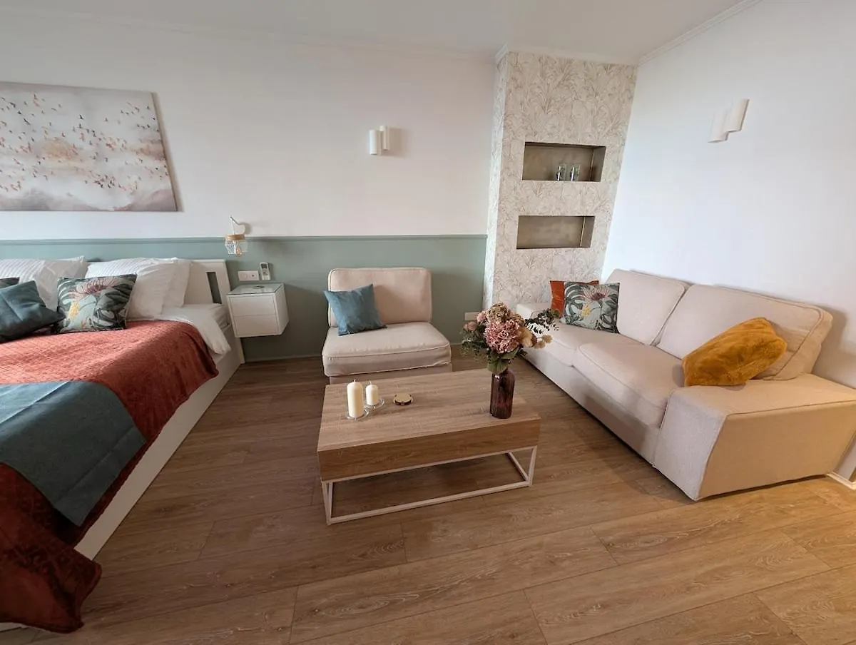 Luxury Studio Next To Beaches And Old Town Antibes Apartment